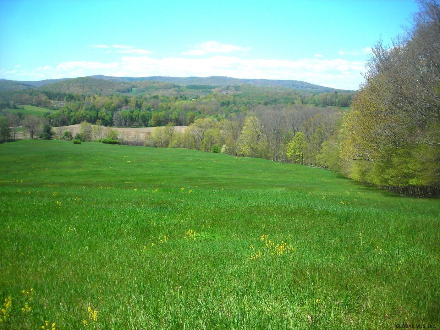 L34.10 Juniper Swamp Road Shushan, NY 12873 - Photo 2 of 10 Photo 2