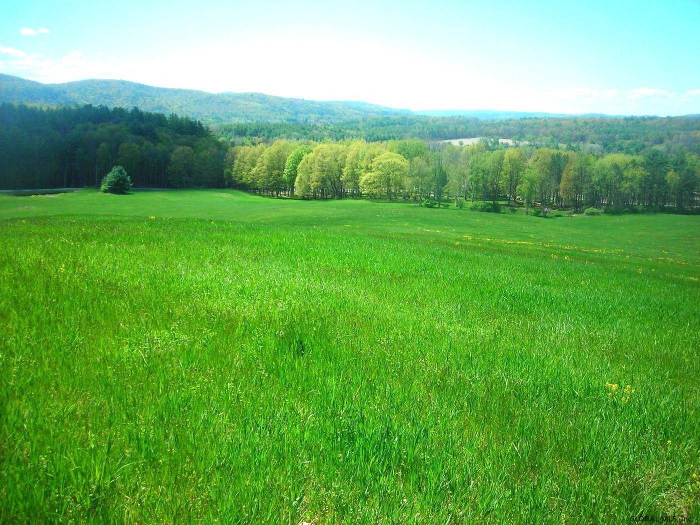 L34.10 Juniper Swamp Road Shushan, NY 12873 - Photo 3 of 10 Photo 3