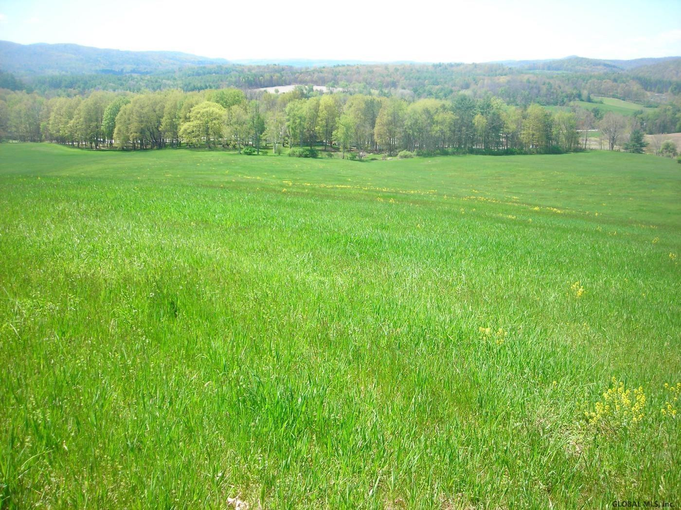 L34.10 Juniper Swamp Road Shushan, NY 12873 - Photo 4 of 10 Photo 4