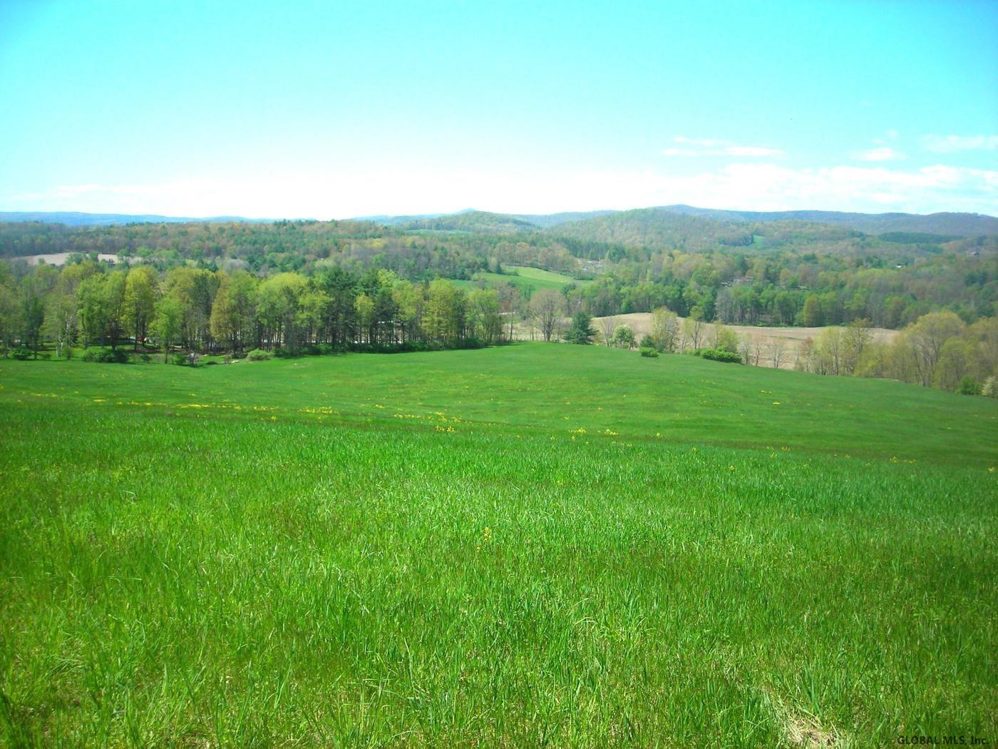 L34.10 Juniper Swamp Road Shushan, NY 12873 - Photo 5 of 10 Photo 5