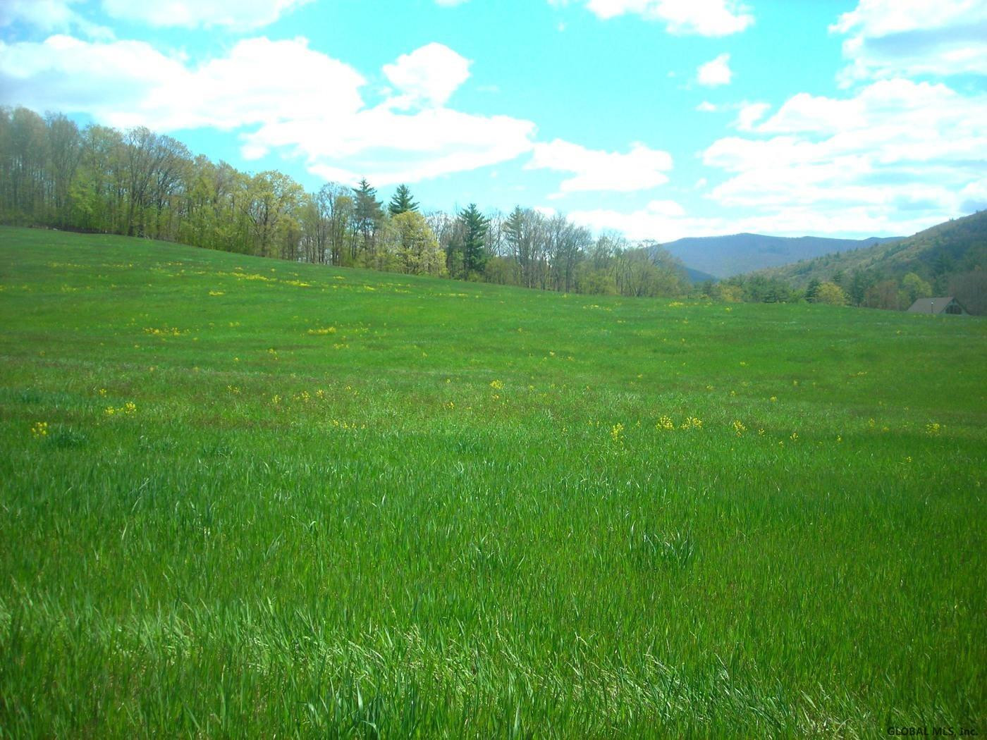 L34.10 Juniper Swamp Road Shushan, NY 12873 - Photo 6 of 10 Photo 6