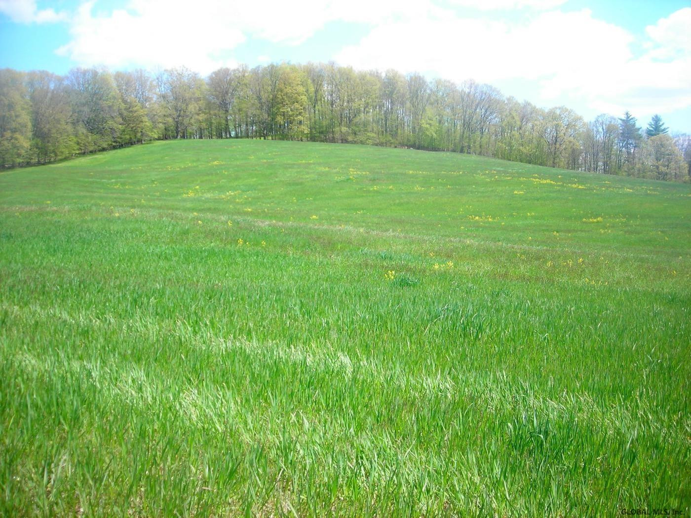 L34.10 Juniper Swamp Road Shushan, NY 12873 - Photo 7 of 10 Photo 7