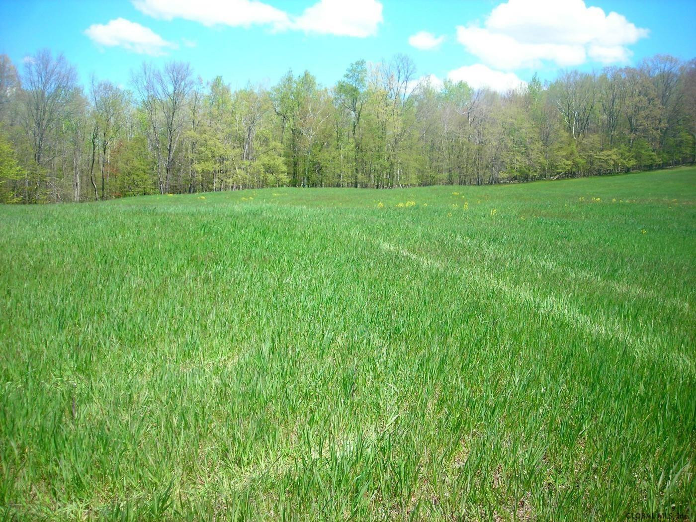 L34.10 Juniper Swamp Road Shushan, NY 12873 - Photo 8 of 10 Photo 8
