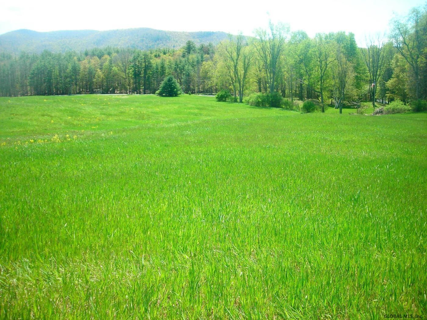 L34.10 Juniper Swamp Road Shushan, NY 12873 - Photo 9 of 10 Photo 9