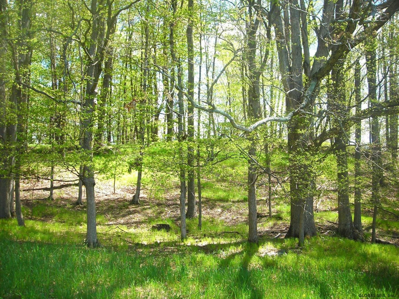 L34.10 Juniper Swamp Road Shushan, NY 12873 - Photo 10 of 10 Photo 10