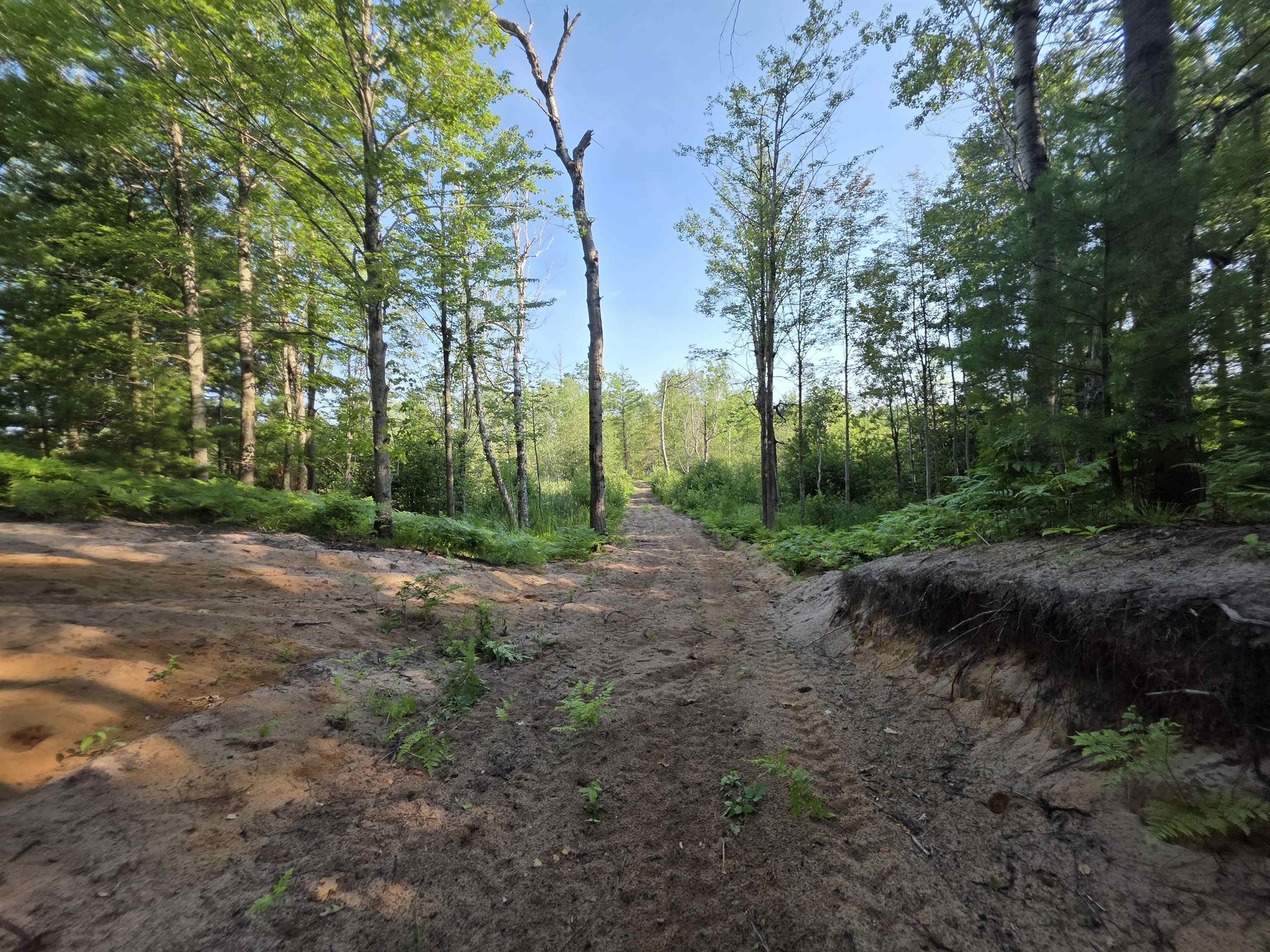 0 Arnold Road Manton, MI 49663 - Photo 55 of 63