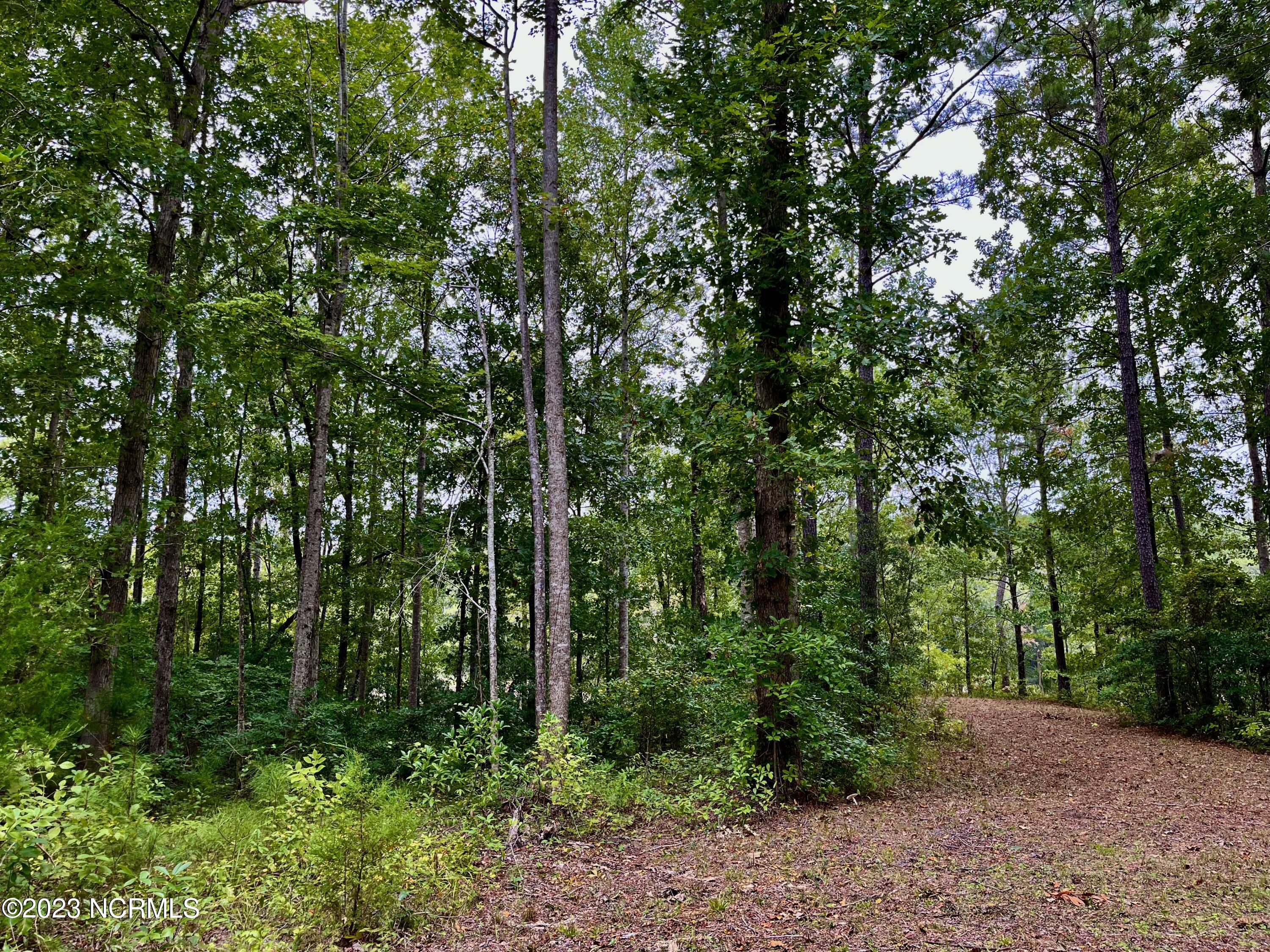 158 Fisher Turnpike Road Arapahoe, NC 28510 - Photo 10 of 27 Lot