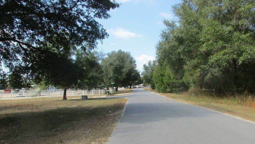 5069 Grassy Pond Road Chipley, FL 32428 - Photo 1 of 2 Gallery Image 1