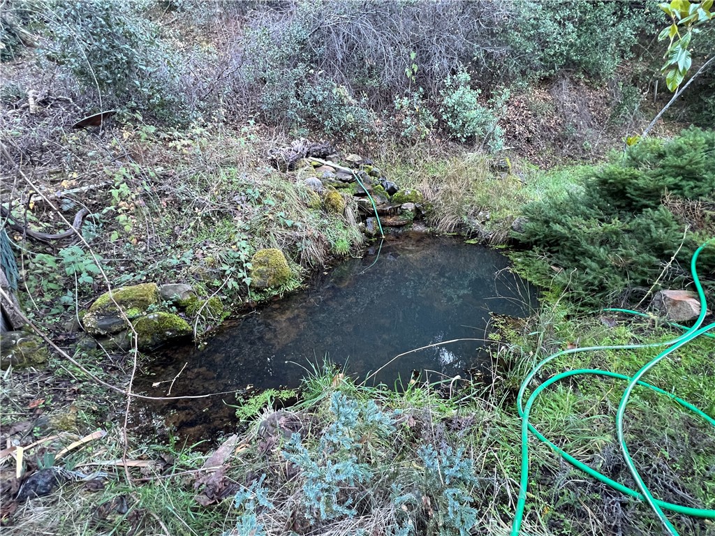 9400 McKinley Road Kelseyville, CA 95451 - Photo 30 of 31 a plant that is in a garden