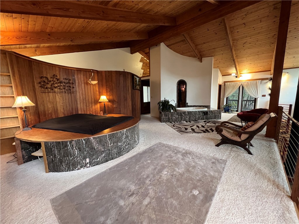 9400 McKinley Road Kelseyville, CA 95451 - Photo 10 of 31 a living room with furniture and a fireplace