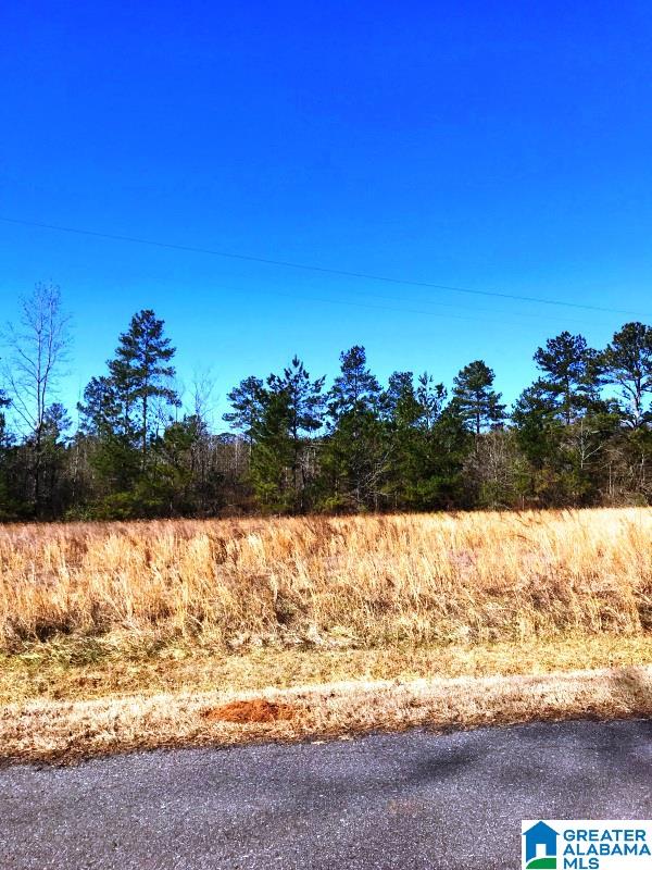 0 Highland Road, Unit 20 5 ACRES Lineville, AL 36266 - Photo 3 of 5
