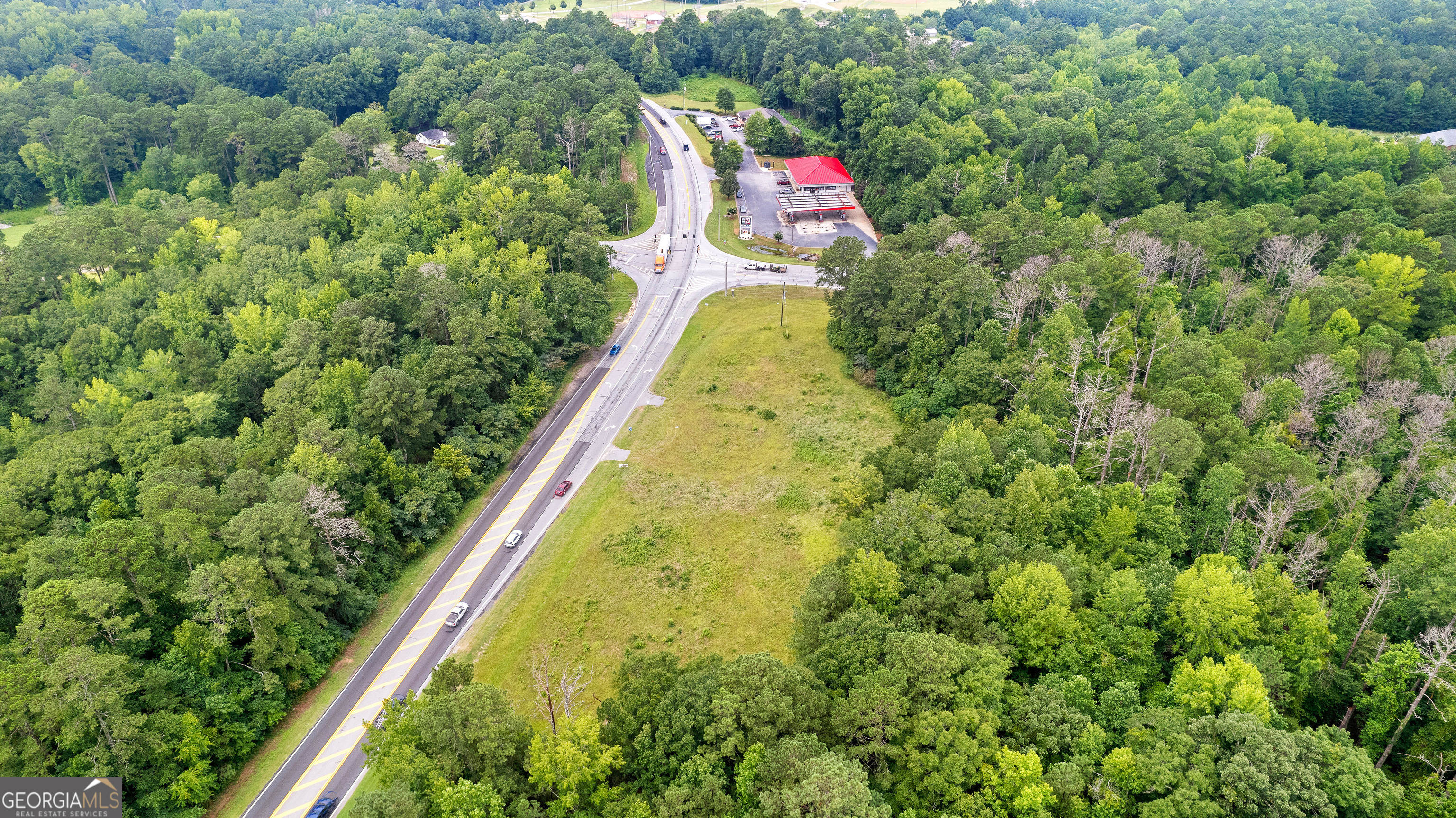 0 Poplar Road Sharpsburg, GA 30277 - Photo 4 of 16 a aerial view of a house with swimming pool and large trees