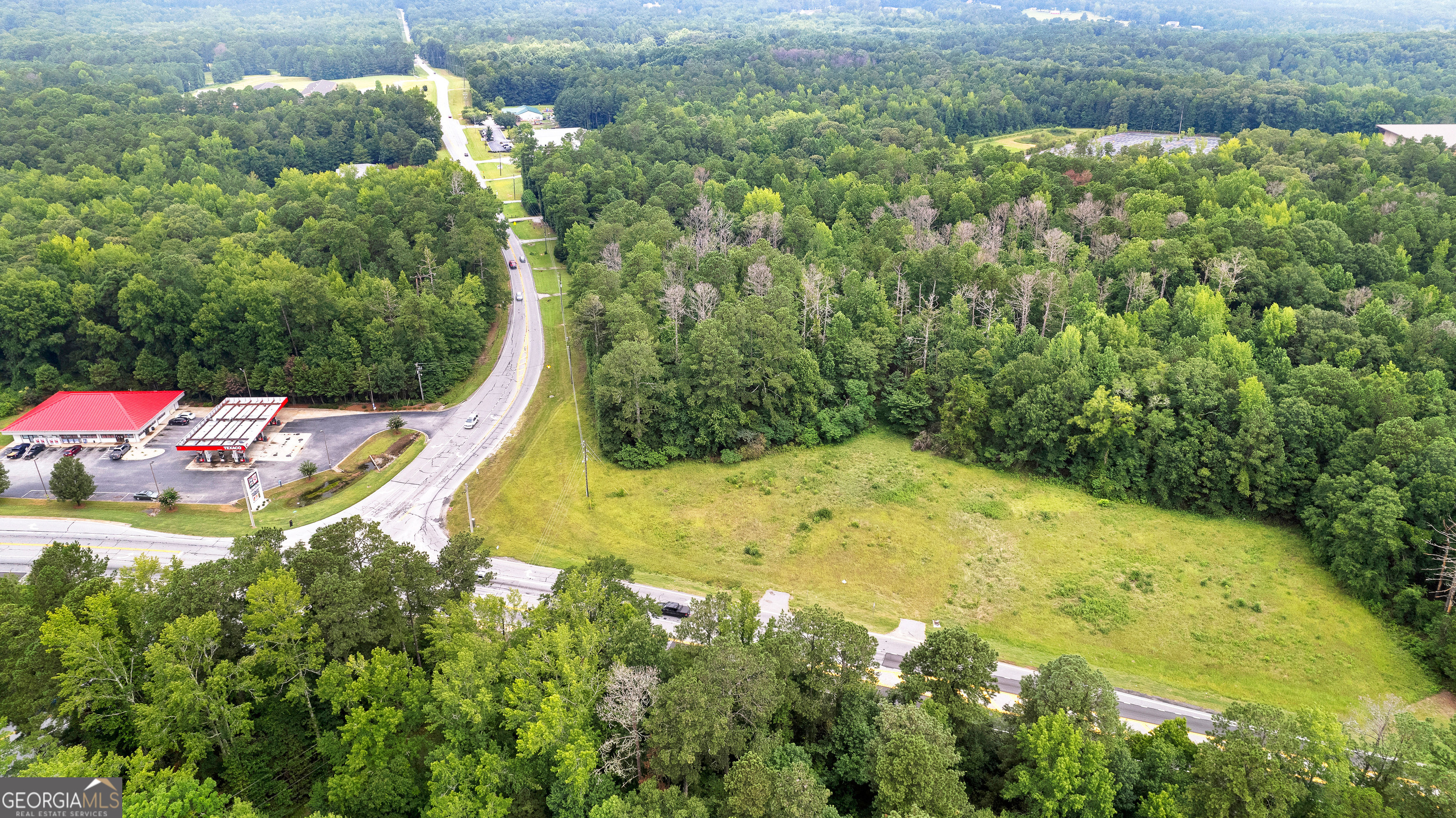 0 Poplar Road Sharpsburg, GA 30277 - Photo 8 of 16 a view of a garden with plants