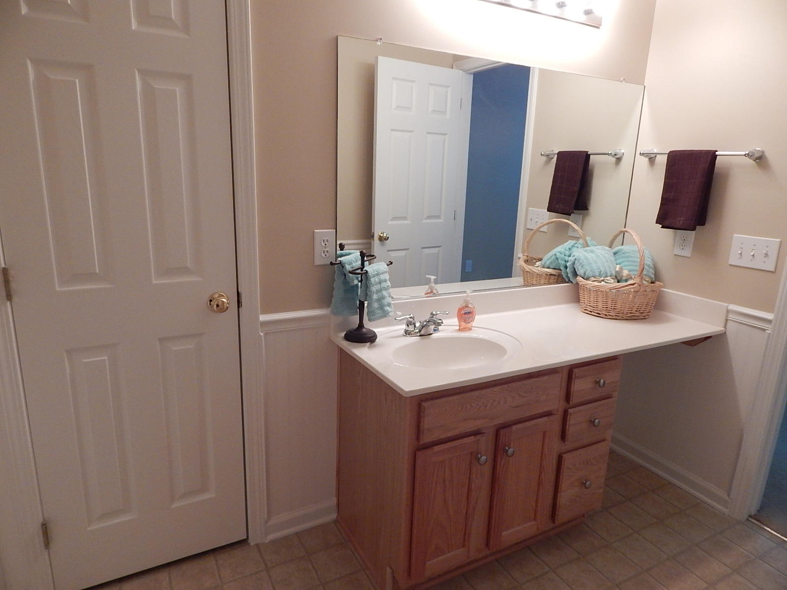 116 Thistle Road Goose Creek, SC 29445 - Photo 16 of 17 Master Bath Vanity