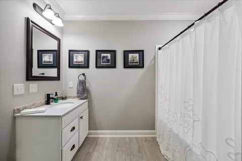 a bathroom with a sink mirror and a shower