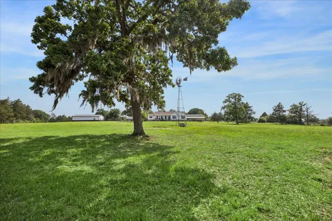 a view of field with tall trees