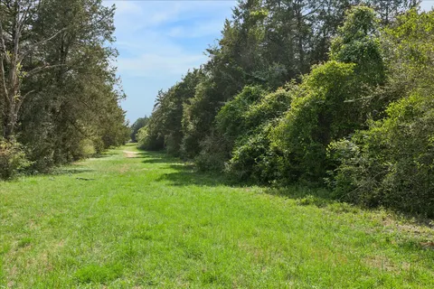 a view of an outdoor space and a yard