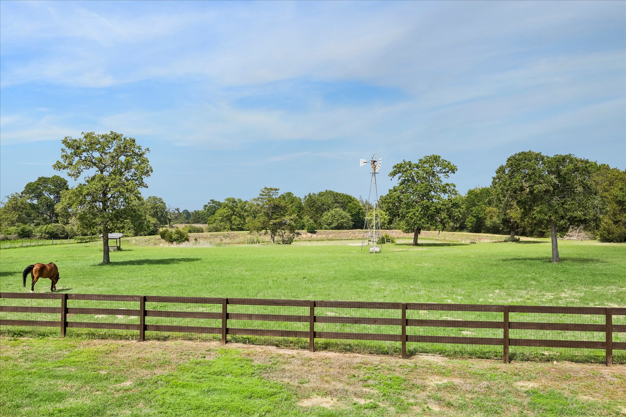 15946 Farm To Market Road 1094 Cat Spring, TX 78933 - Photo 8 of 50 a view of an outdoor space and yard