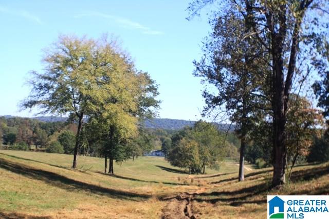 1785 Nunnally Lake Road Ohatchee, AL 36271 - Photo 47 of 50