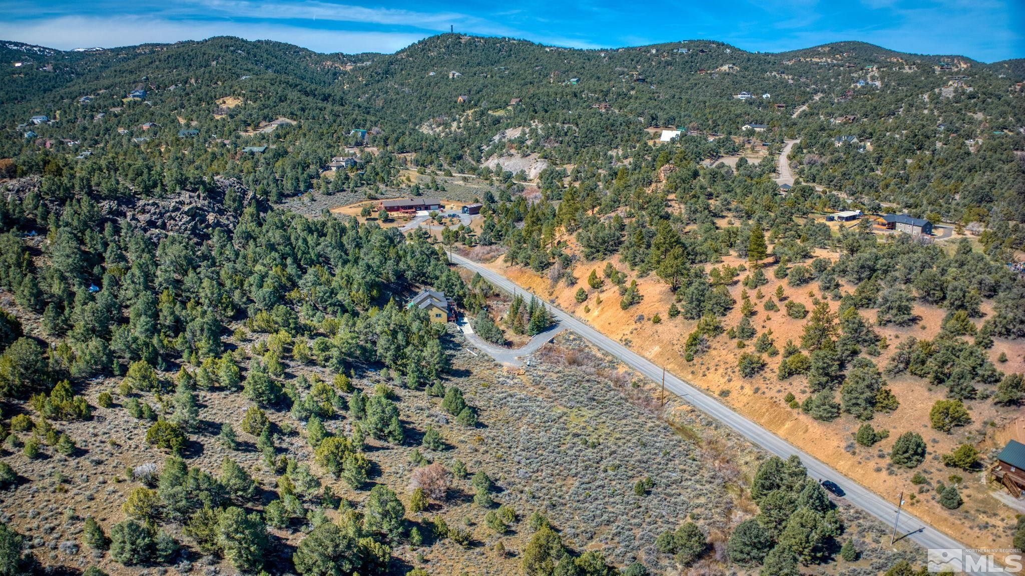 2151 Lousetown Road Reno, NV 89521 - Photo 5 of 11 a view of a forest with a mountain