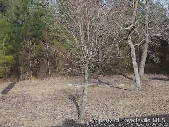 3697 Union Church Road Carthage, NC 28327 - Photo 24 of 25 a view of a yard with a tree