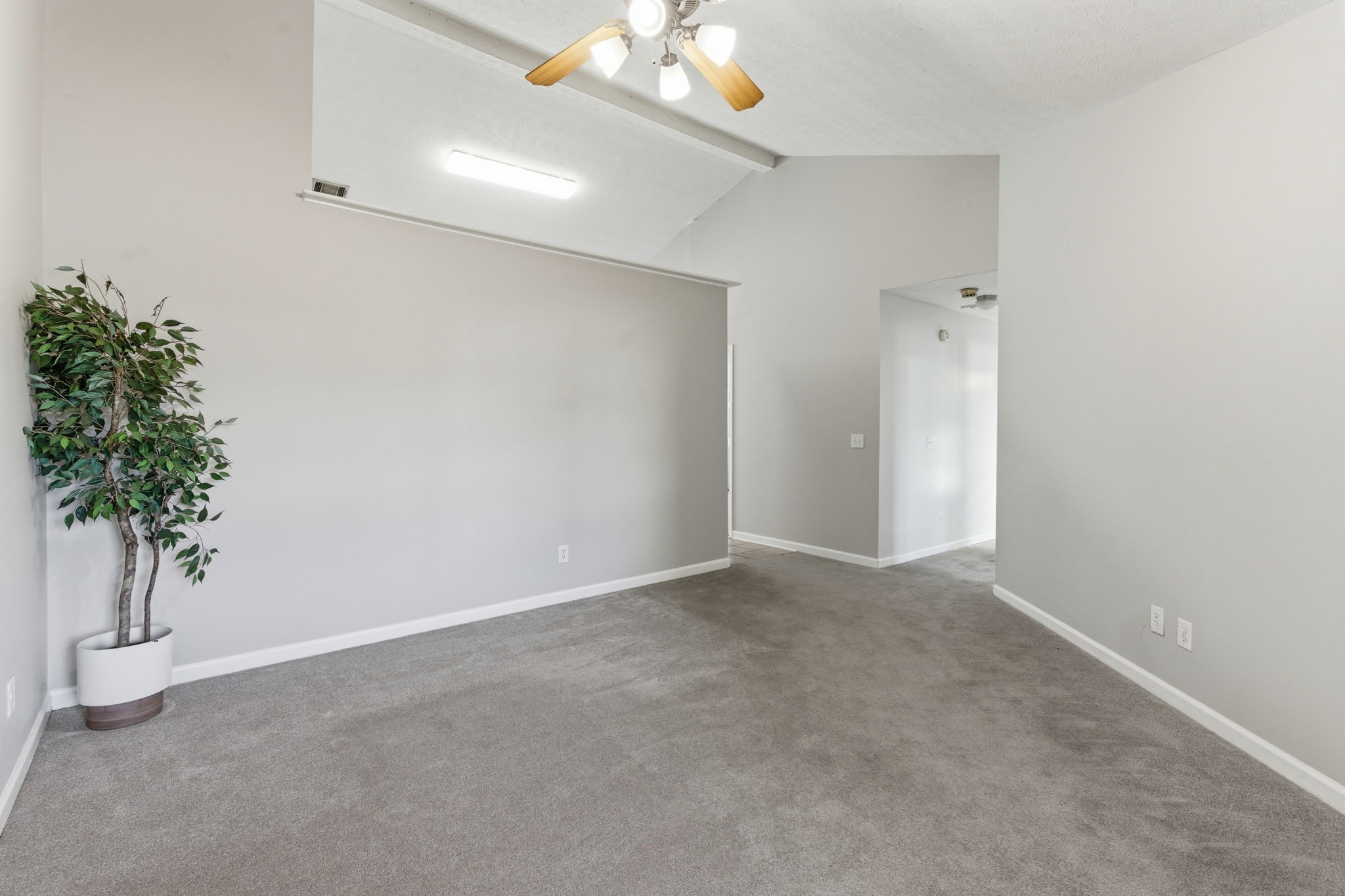 4313 Mystic Valley Court Antioch, TN 37013 - Photo 2 of 20 an empty room with potted plants in hallway