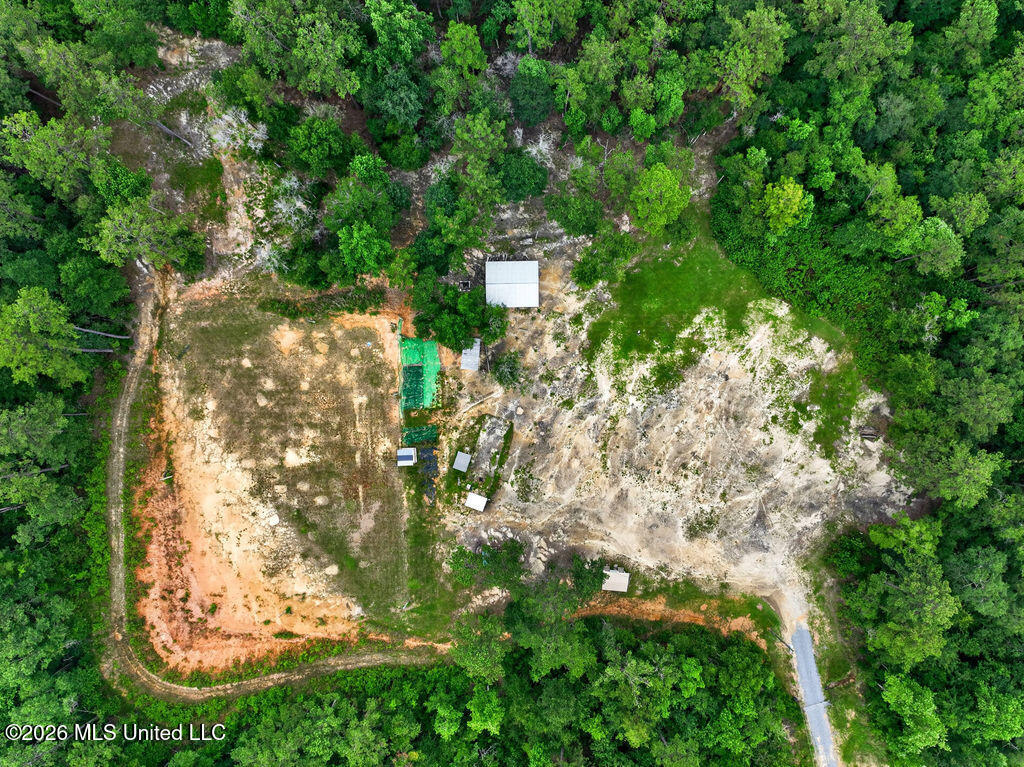 94 Desoto Road McHenry, MS 39561 - Photo 12 of 37 94DesotoRd.S-12