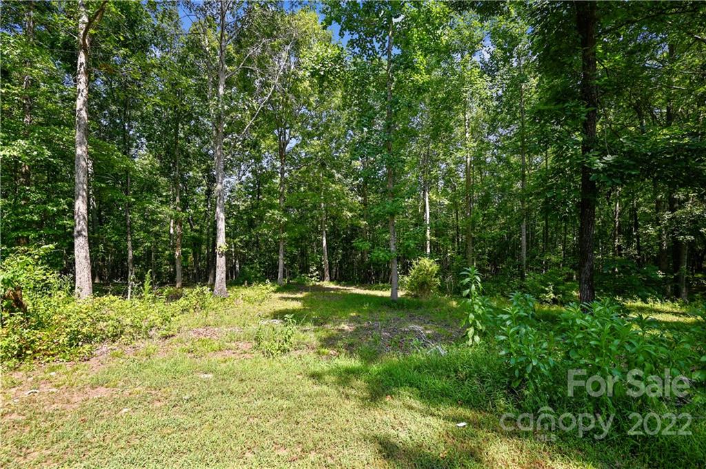 541 Grier Lesslie Road Rock Hill, SC 29730 - Photo 31 of 36 Gallery Image 31