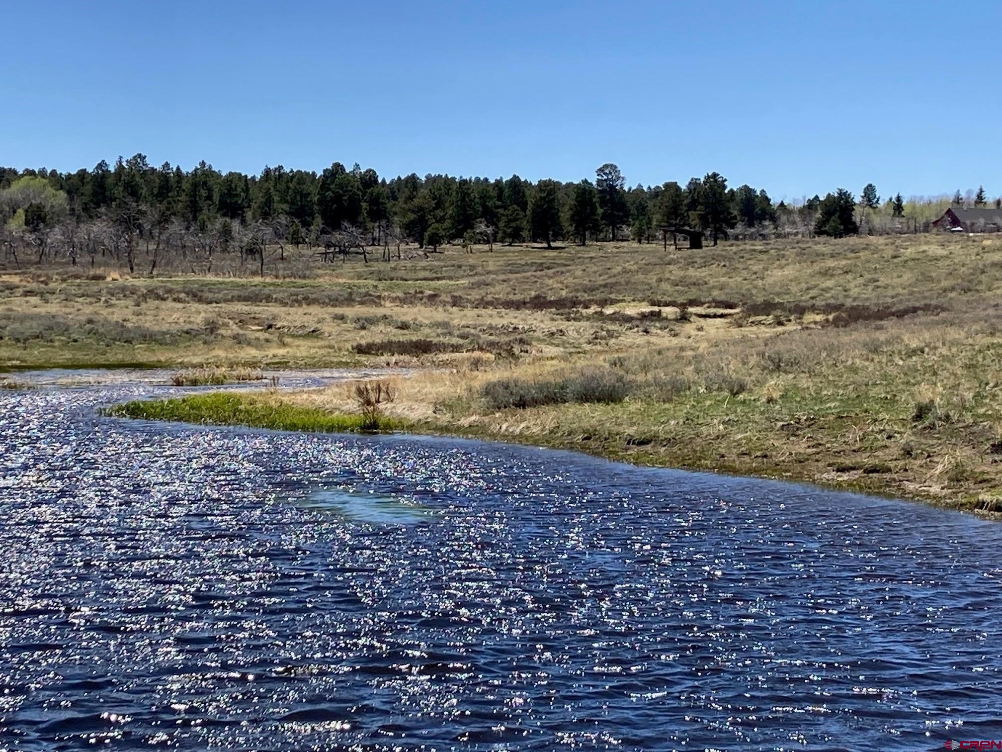 Lot 13 62x Road Placerville, CO 81430 - Photo 11 of 17 a view of a lake view