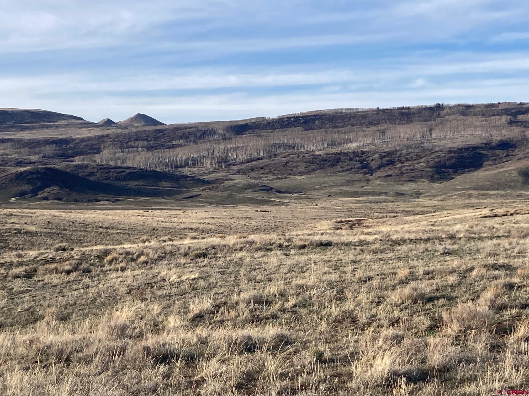 Lot 13 62x Road Placerville, CO 81430 - Photo 14 of 17 a view of ocean