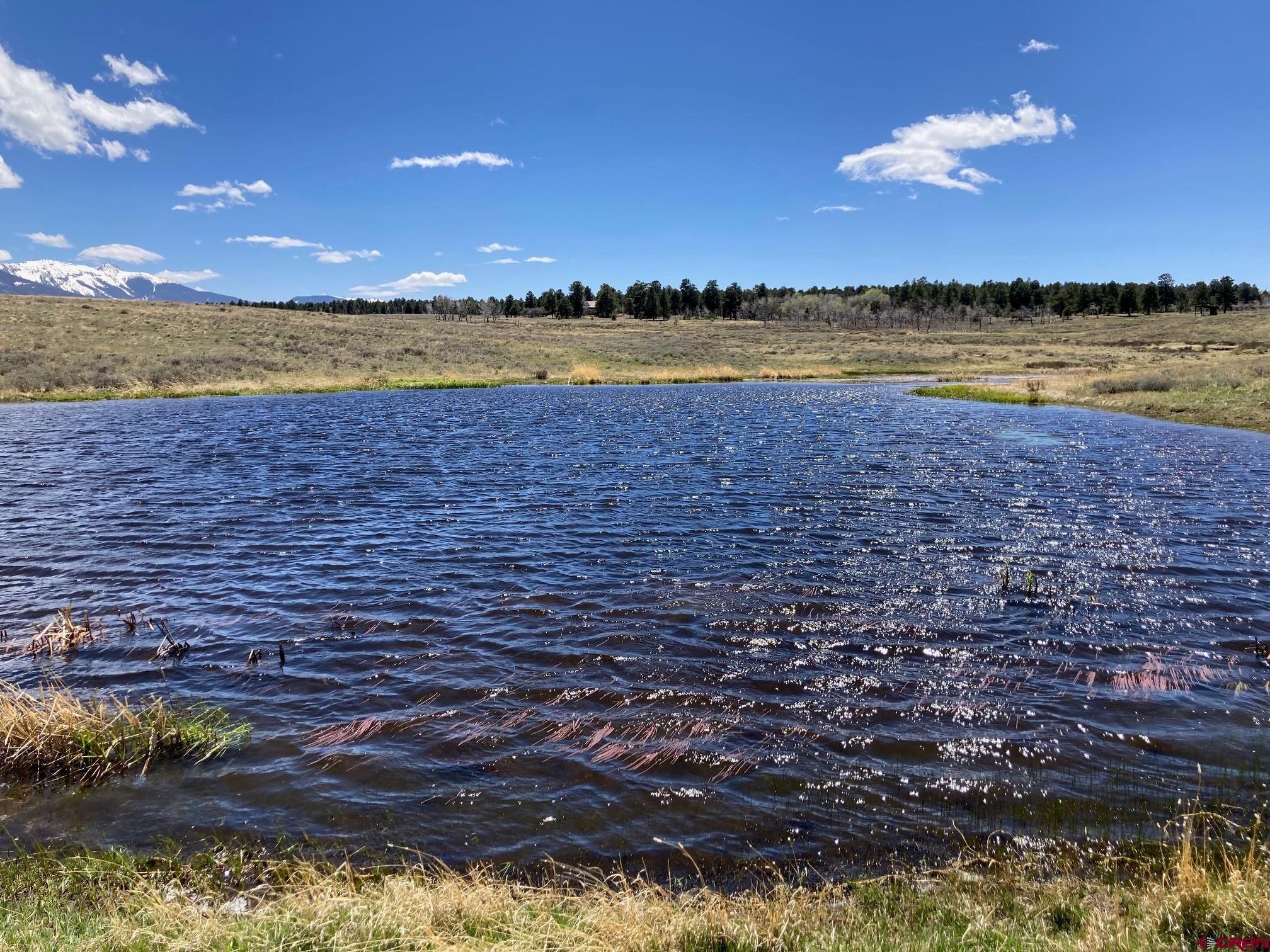 Lot 13 62x Road Placerville, CO 81430 - Photo 8 of 17 a view of an ocean beach and outdoor space