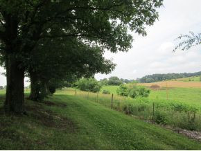 0 C D Williams Road Limestone, TN 37681 - Photo 1 of 1 Photo 1