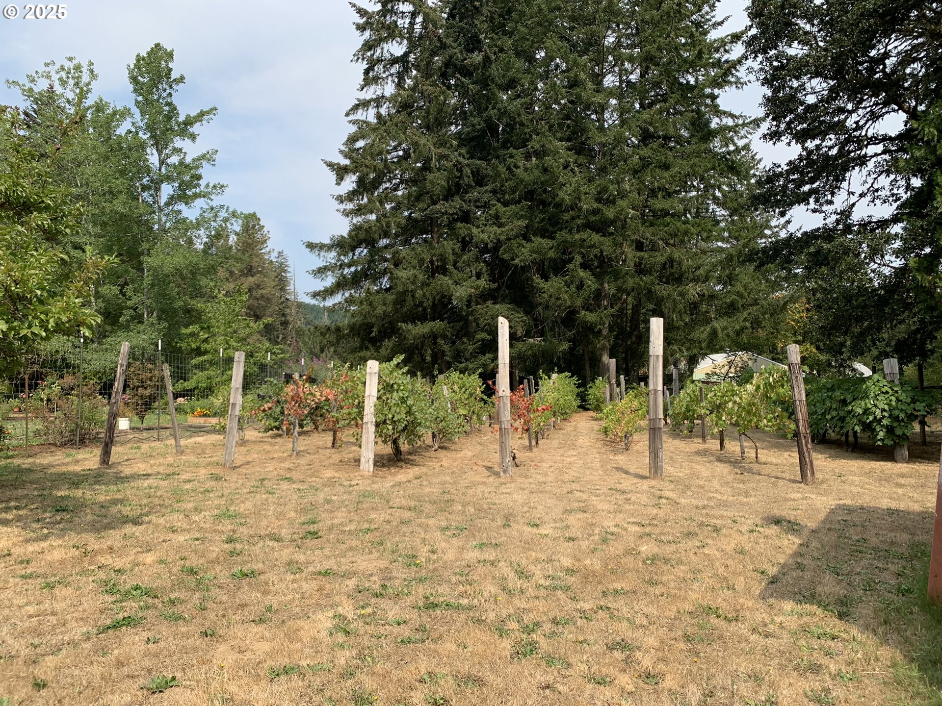 23555 Suttle Road Veneta, OR 97487 - Photo 37 of 48 Garden