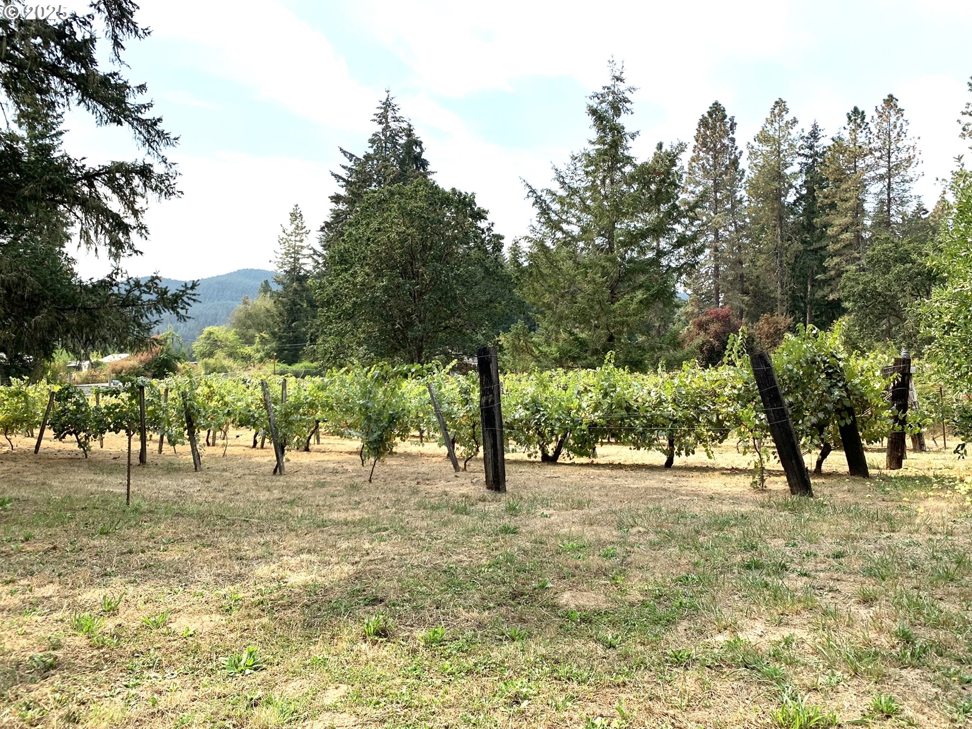 23555 Suttle Road Veneta, OR 97487 - Photo 38 of 48 Garden