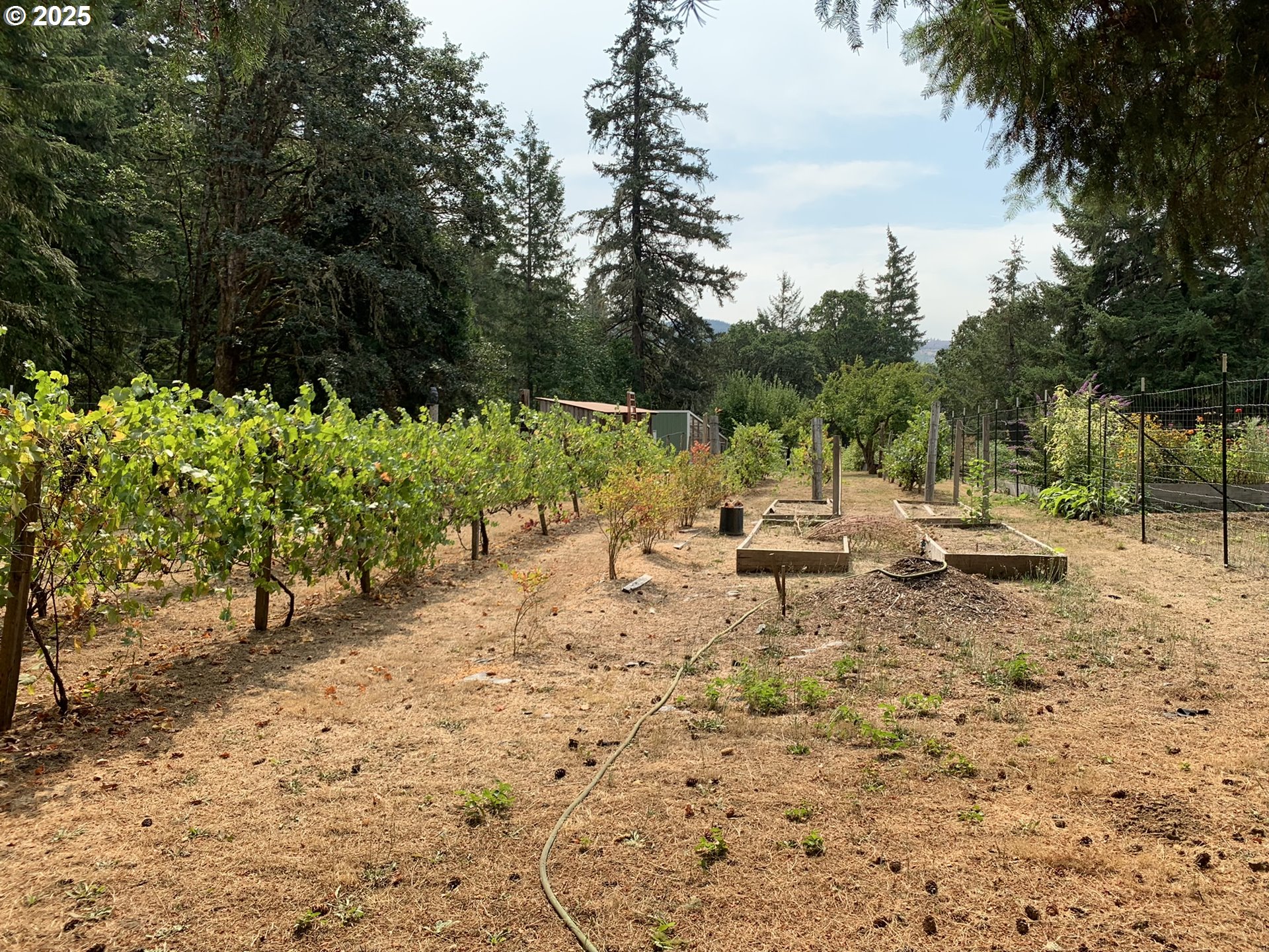 23555 Suttle Road Veneta, OR 97487 - Photo 40 of 48 Garden