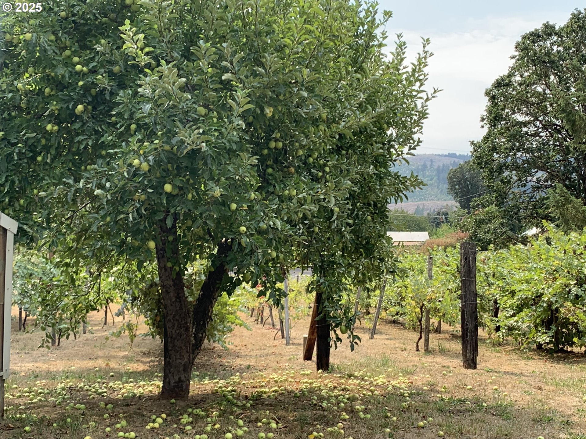23555 Suttle Road Veneta, OR 97487 - Photo 41 of 48 Garden