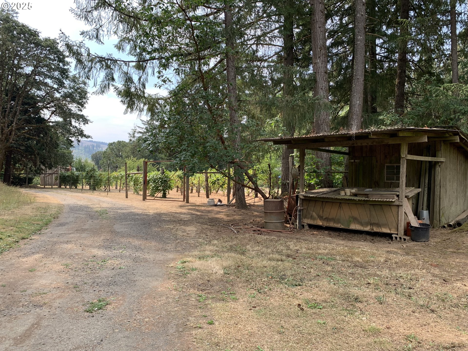 23555 Suttle Road Veneta, OR 97487 - Photo 44 of 48 Coop
