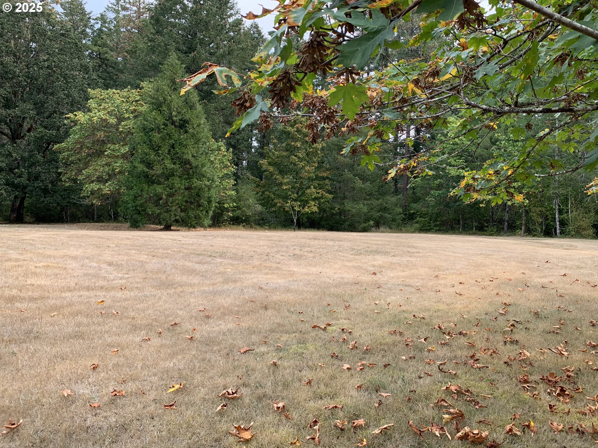 23555 Suttle Road Veneta, OR 97487 - Photo 46 of 48 Yard