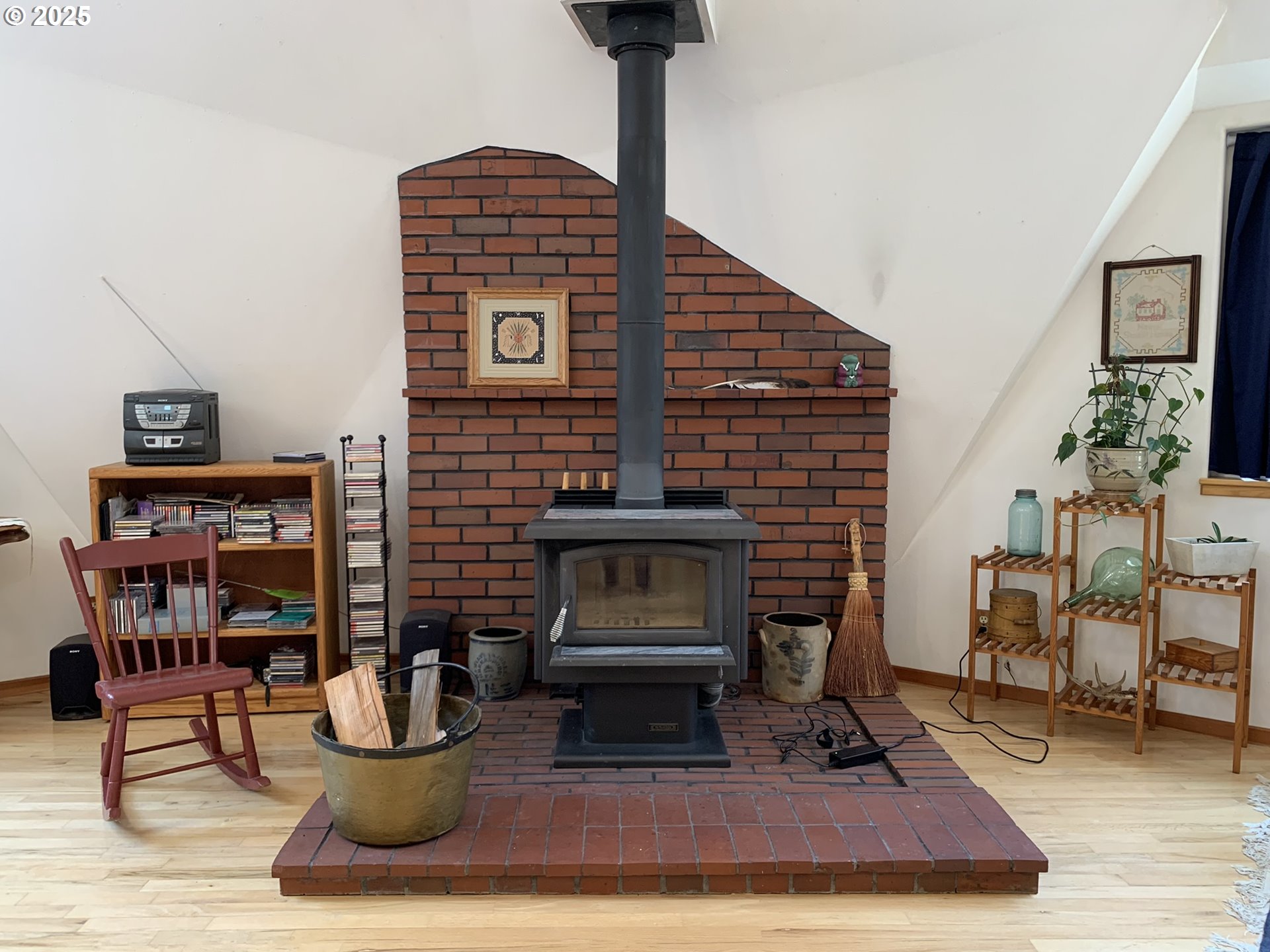 Fireplace Wood Burning Stove/Insert