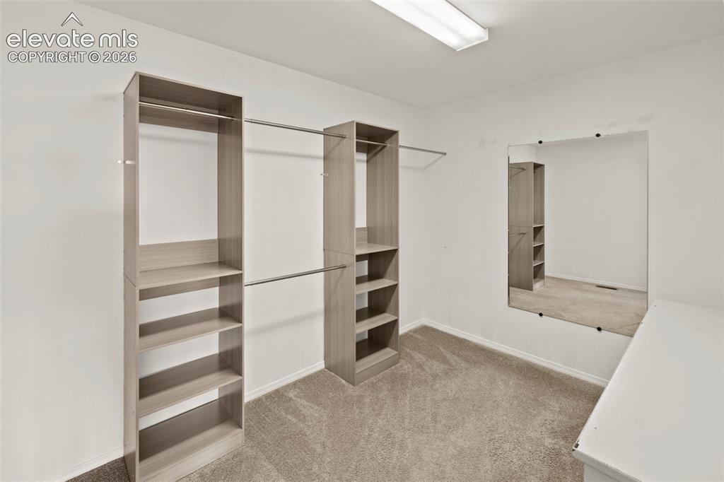 12356 Tex Tan Road Peyton, CO 80831 - Photo 19 of 47
