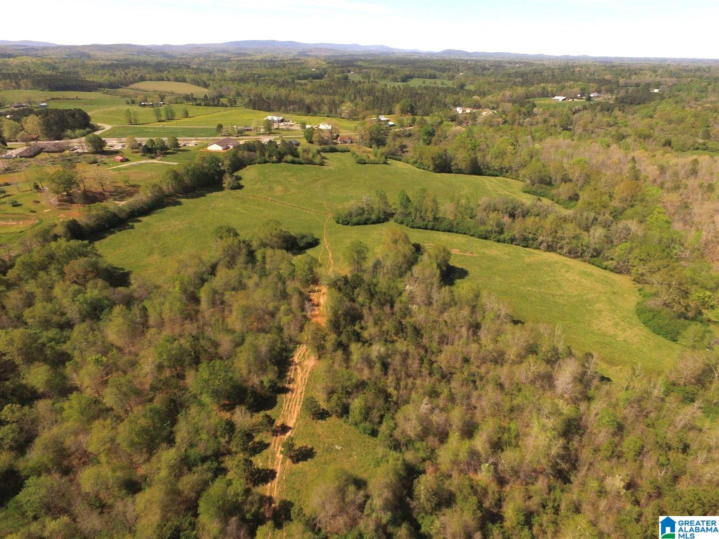 Arena Road, Unit 91 Lineville, AL 36266 - Photo 5 of 13