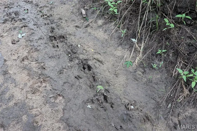 $225,000 | Tbd West Tbd W 182nd Street, Eagleville, MO 64442