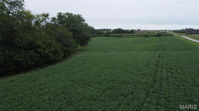 $225,000 | Tbd West Tbd W 182nd Street, Eagleville, MO 64442
