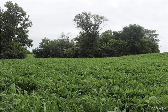 $225,000 | Tbd West Tbd W 182nd Street, Eagleville, MO 64442