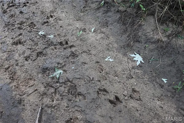 $210,800 | Tbd West Tbd W 182nd Street, Eagleville, MO 64442