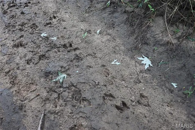 $225,000 | Tbd West Tbd W 182nd Street, Eagleville, MO 64442