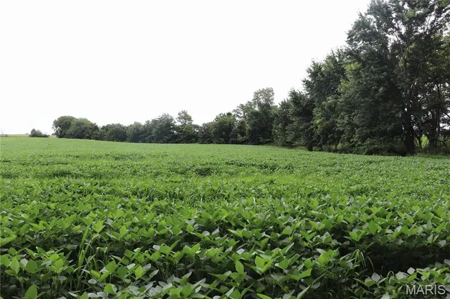 $225,000 | Tbd West Tbd W 182nd Street, Eagleville, MO 64442