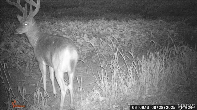 $225,000 | Tbd West Tbd W 182nd Street, Eagleville, MO 64442