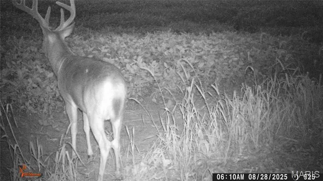 $225,000 | Tbd West Tbd W 182nd Street, Eagleville, MO 64442