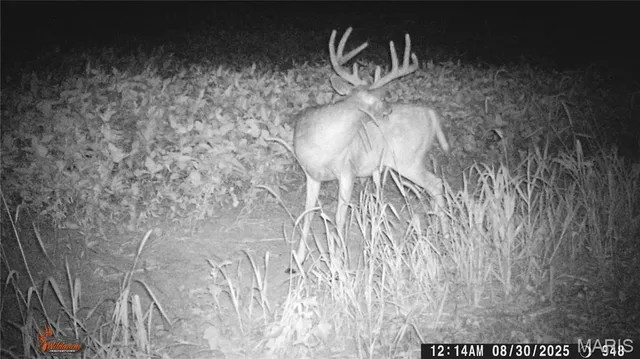 $225,000 | Tbd West Tbd W 182nd Street, Eagleville, MO 64442